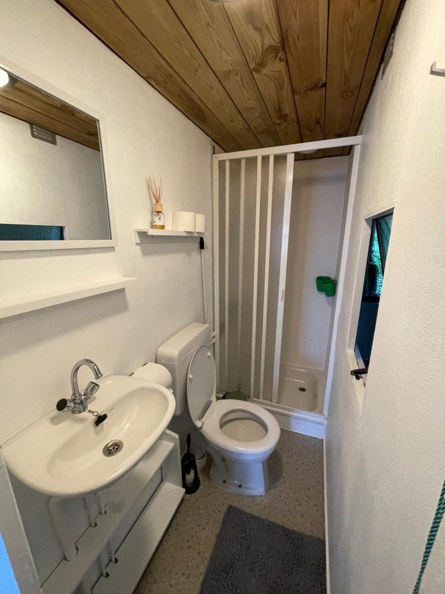 Chalet Friesland H17 - 5 Pers Westergeest エクステリア 写真